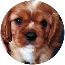 Lianne M. profile picture
