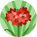 Senay B profile picture